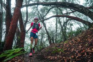 BIB: 
                            <button type="button" onclick="openModal(26343885)" class="btn btn-primary btn-sm float-right btn-popup" data-toggle="modal" data-target=".modal-high-quality">
                        <i class="fas fa-shopping-cart"></i> Add to Cart
                    </button>
                                            <button type="button" onclick="isThisMe(26343885, true)" class="btn btn-success btn-sm float-right btn-popup btn-isme hidden" data-toggle="tooltip" data-placement="bottom" title="นี่คือรูปของคุณใช่ไหม คลิกที่นี่เพื่อเอาเข้าอัลบั้ม">
                        <i class="fas fa-plus"></i> Add to album
                    </button>
                    <button type="button" onclick="isThisMe(26343885, false)" class="btn btn-warning btn-sm float-right btn-popup btn-isnotme hidden">
                        <i class="fas fa-ban"></i> Remove from album
                    </button>